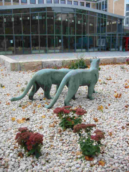156-5696_IMG